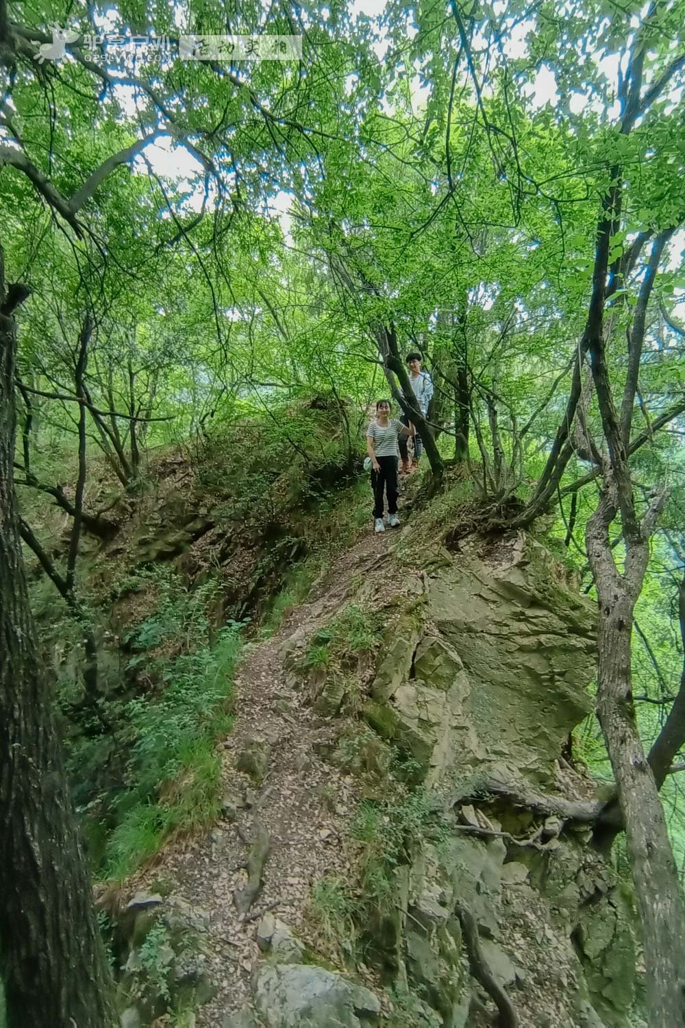 秦岭登山资讯，自信与成长的交响曲，踏上攀登之路