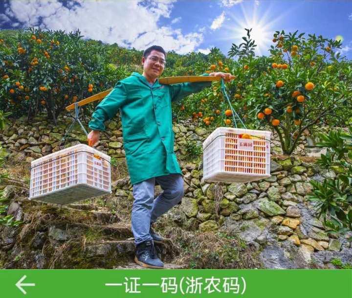 浙江农博会深度报道，巷弄深处的独特风味与农博会最新资讯速递