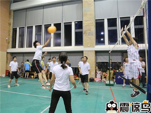 排球比赛术语,热血与荣耀的较量之战