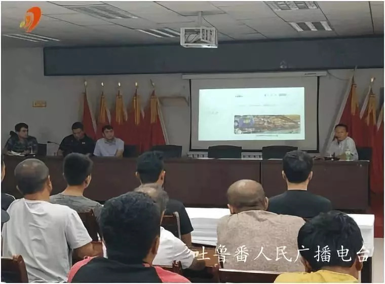 鄯善县最新职位招聘信息，科技引领未来职场之旅