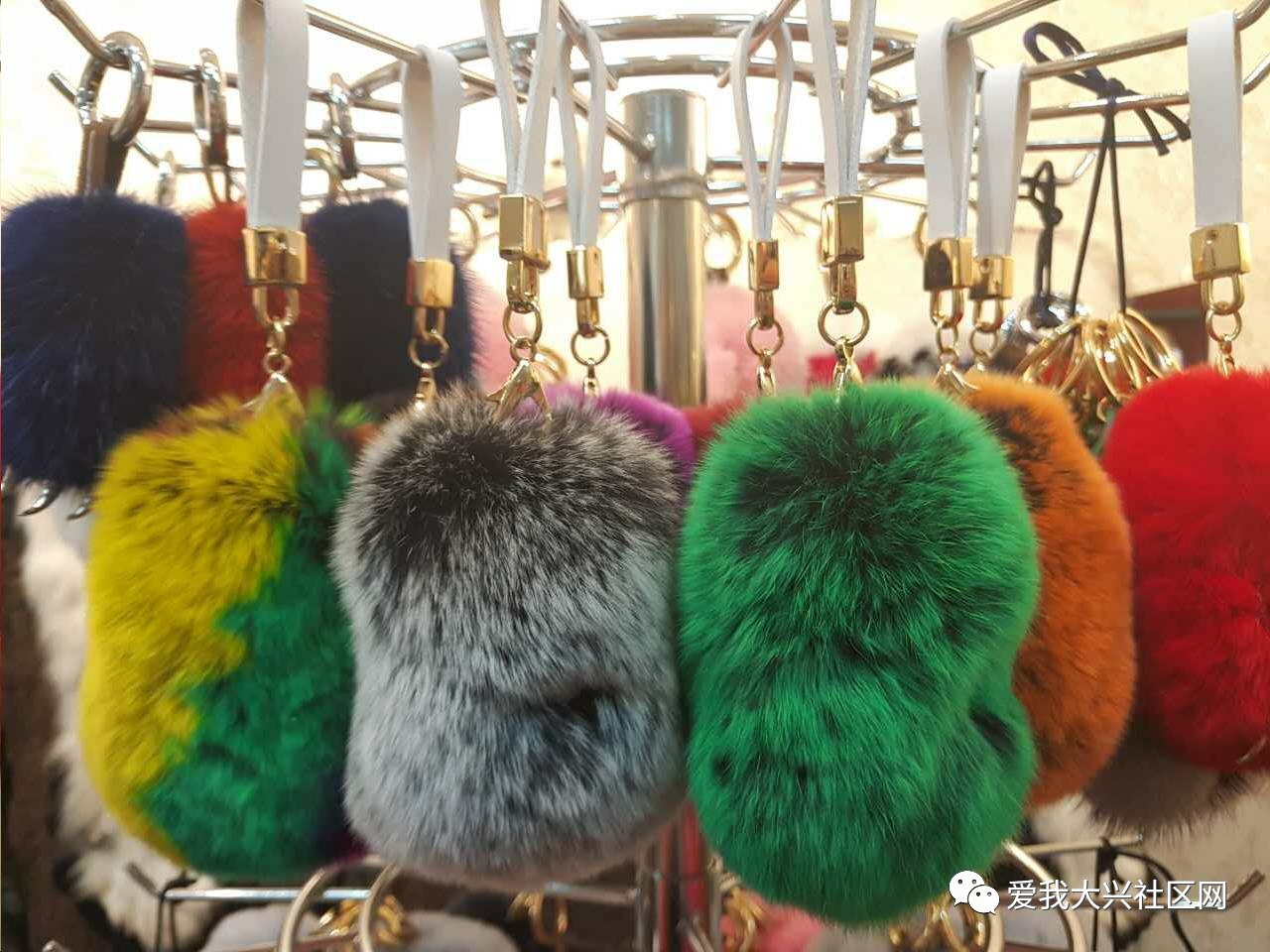 獭兔市场动态，自然美景的探索之旅开启！