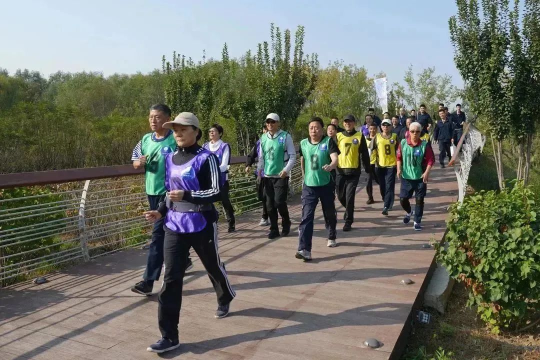 健步走比赛视频，步伐中的温情与陪伴之旅