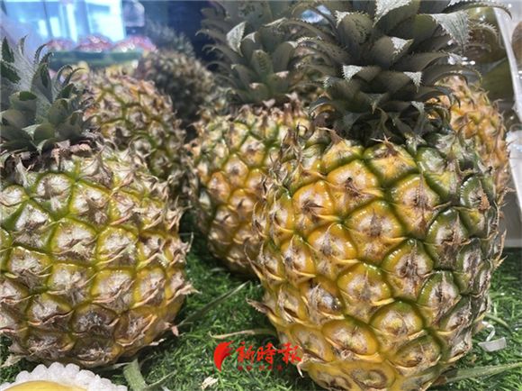 今日菠萝价格行情深度解析与预测分析