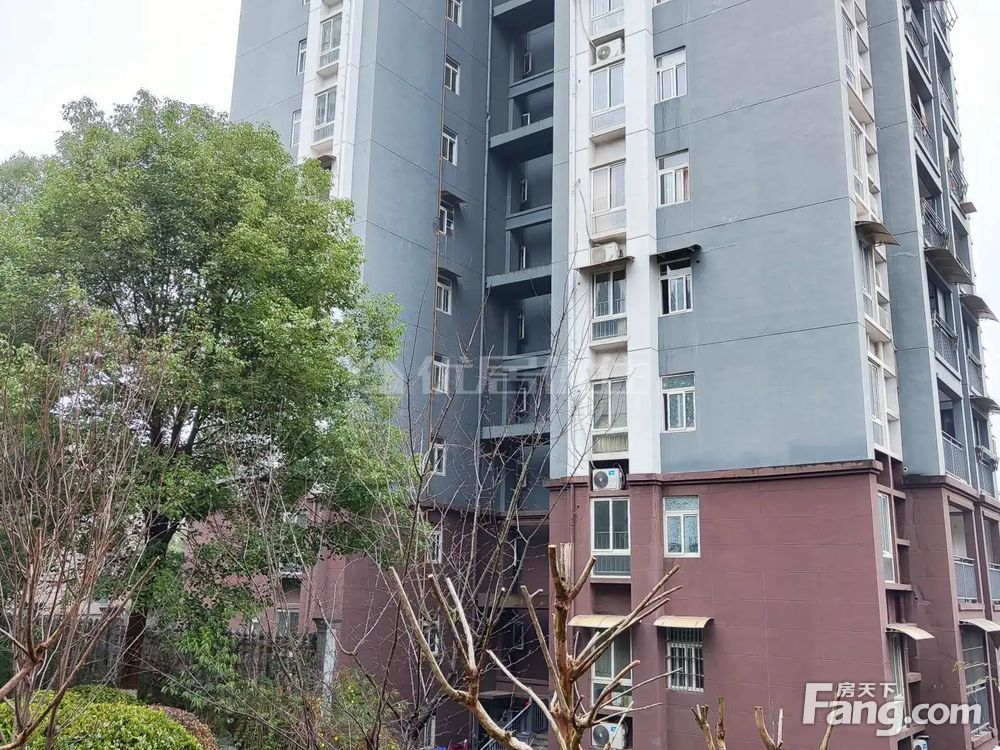 民佳家园持续打造理想居住环境，最新动态与进步展望