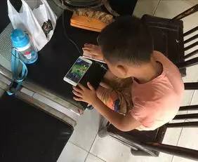 小学生最新新闻，自信与成就感的种子在学习土壤中生根发芽