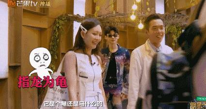 揭秘明星大侦探的幕后故事与精彩瞬间,开车之旅的综艺之旅