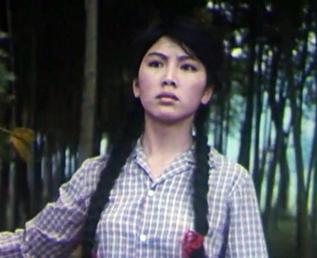 黄宛苏演员,演艺之路的闪耀之星