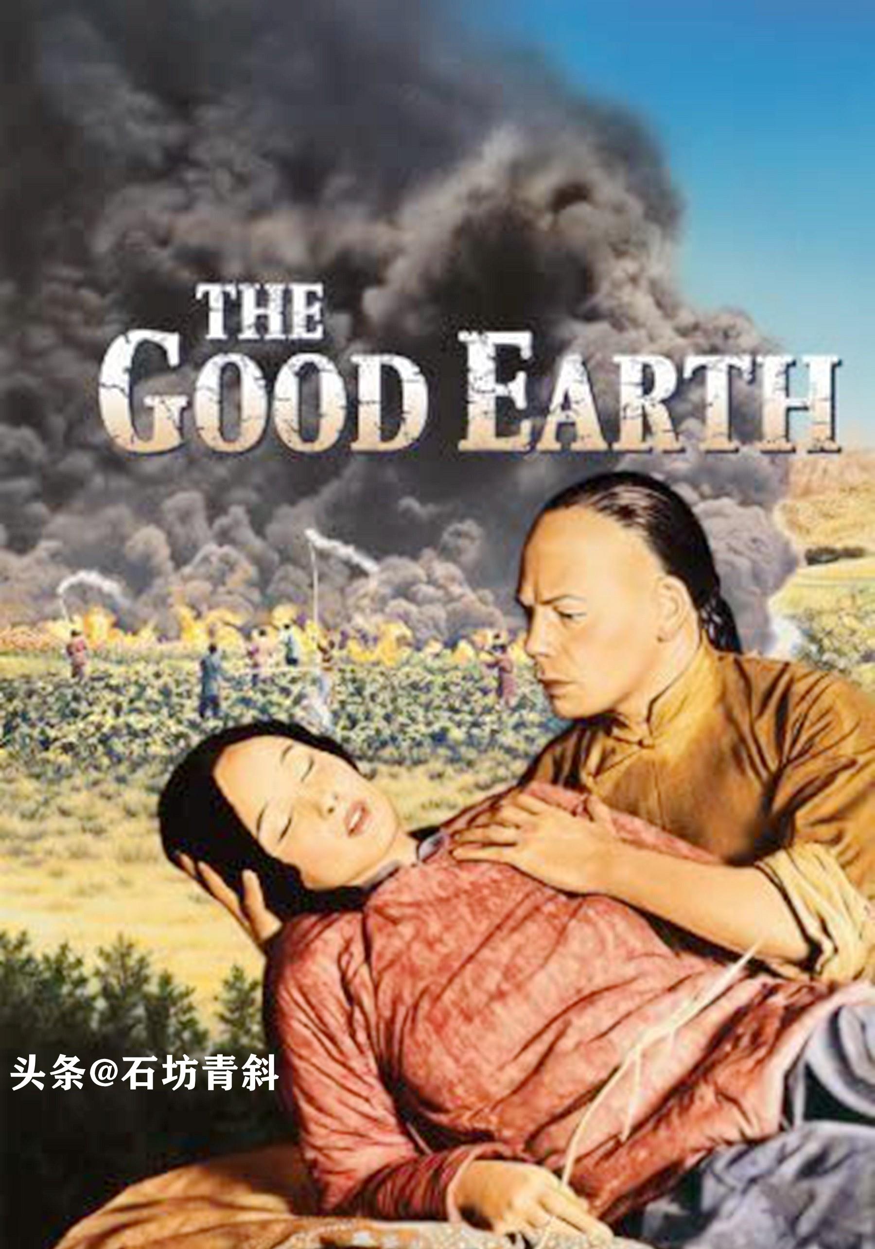 大地电影网，科技引领观影新体验