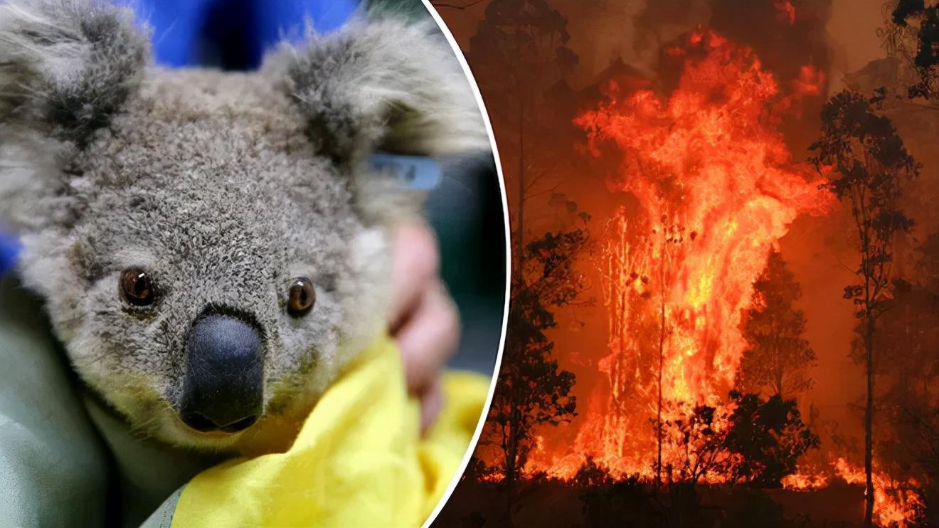 探索自然美景的治愈之旅，狂少最新章节更新速递