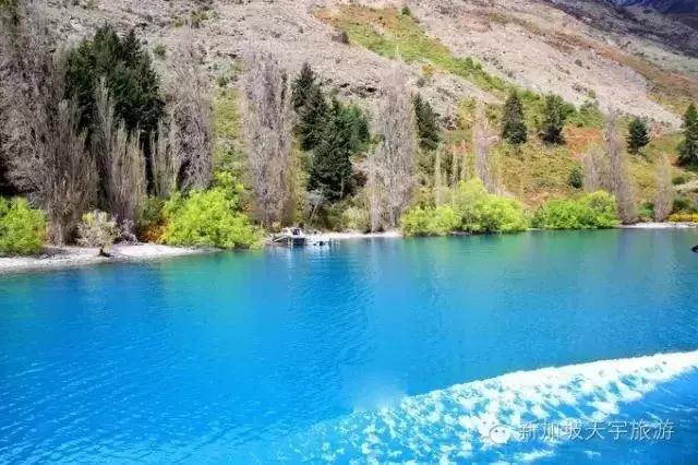 美食大明星席卷全球的美食风暴！?