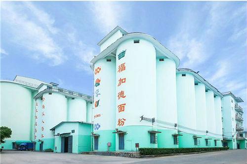 进口小麦价格行情揭秘，温情与麦香的交织故事