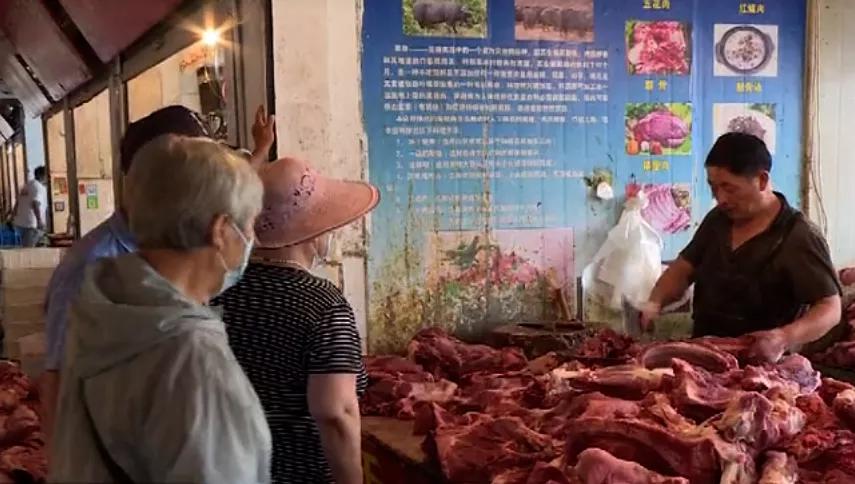 全国毛猪最新行情动态更新