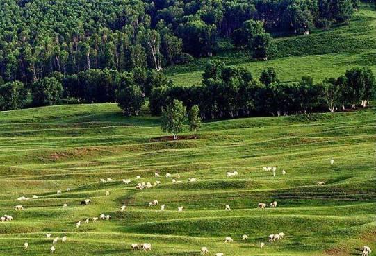 承德明星,历史与现代的璀璨舞台之星