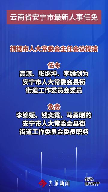 安宁市人事任免信息深度解析，一种观点的视角