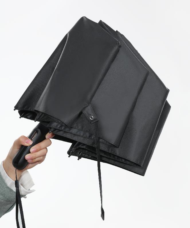 小红书揭秘，米粉机械设备价格全解析