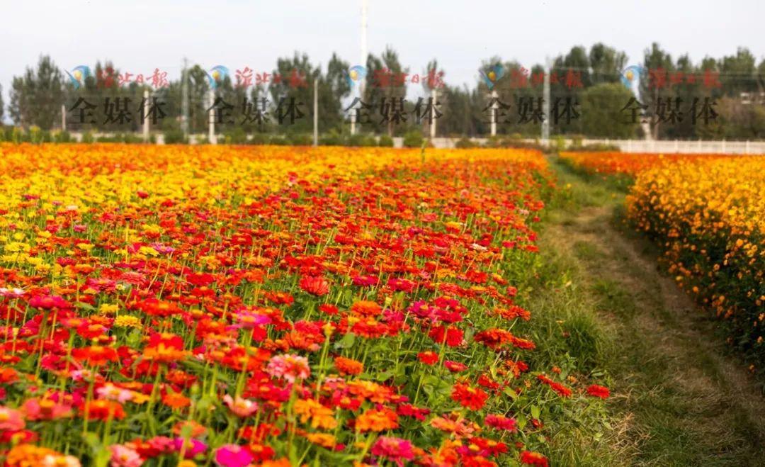 淮北高铁最新进展详解，最新进展与指南