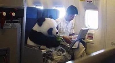 广州到纽约机票价格探索，航班选择与费用因素全解析