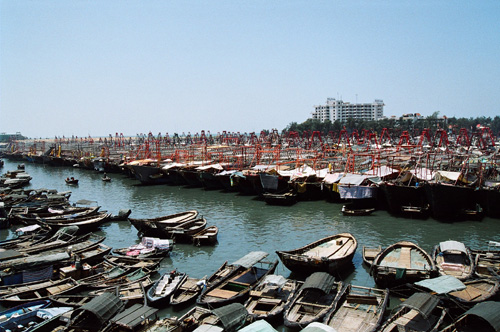 休渔最新闻,温馨的休渔故事时光