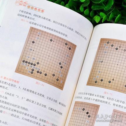 观棋新书解读，洞悉棋局，探寻智慧之奥秘