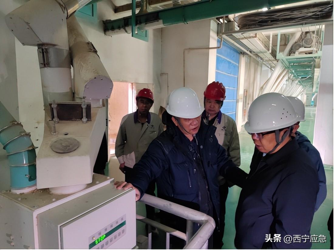 西宁最新资讯概览?