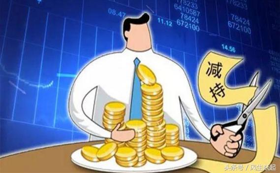 向日葵股价最新动态深度解析与观点阐述