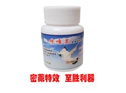 信鸽饲养员招聘启事