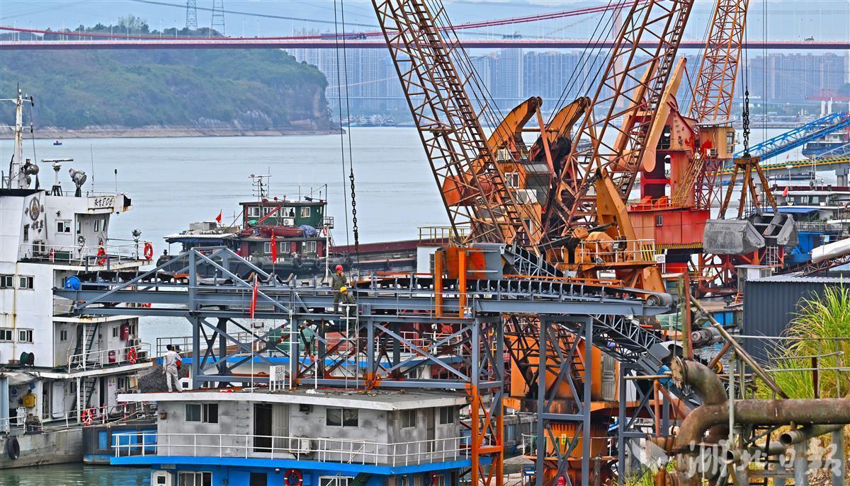 长江码头整治进展全面报道,步骤指南与最新动态更新