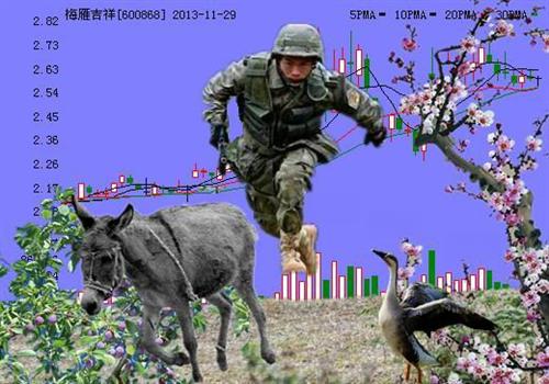 梅雁吉祥最新动态揭秘，时代变迁的见证者