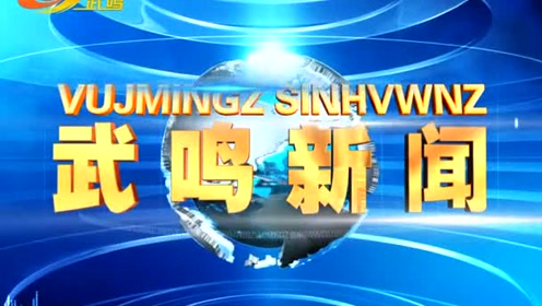武鸣电视台在线直播,新时代的视听盛宴,不容错过!