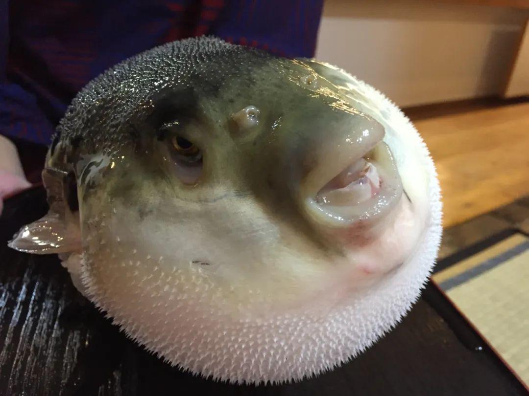 零点云官网使用指南，适合初学者与进阶用户的全面指南