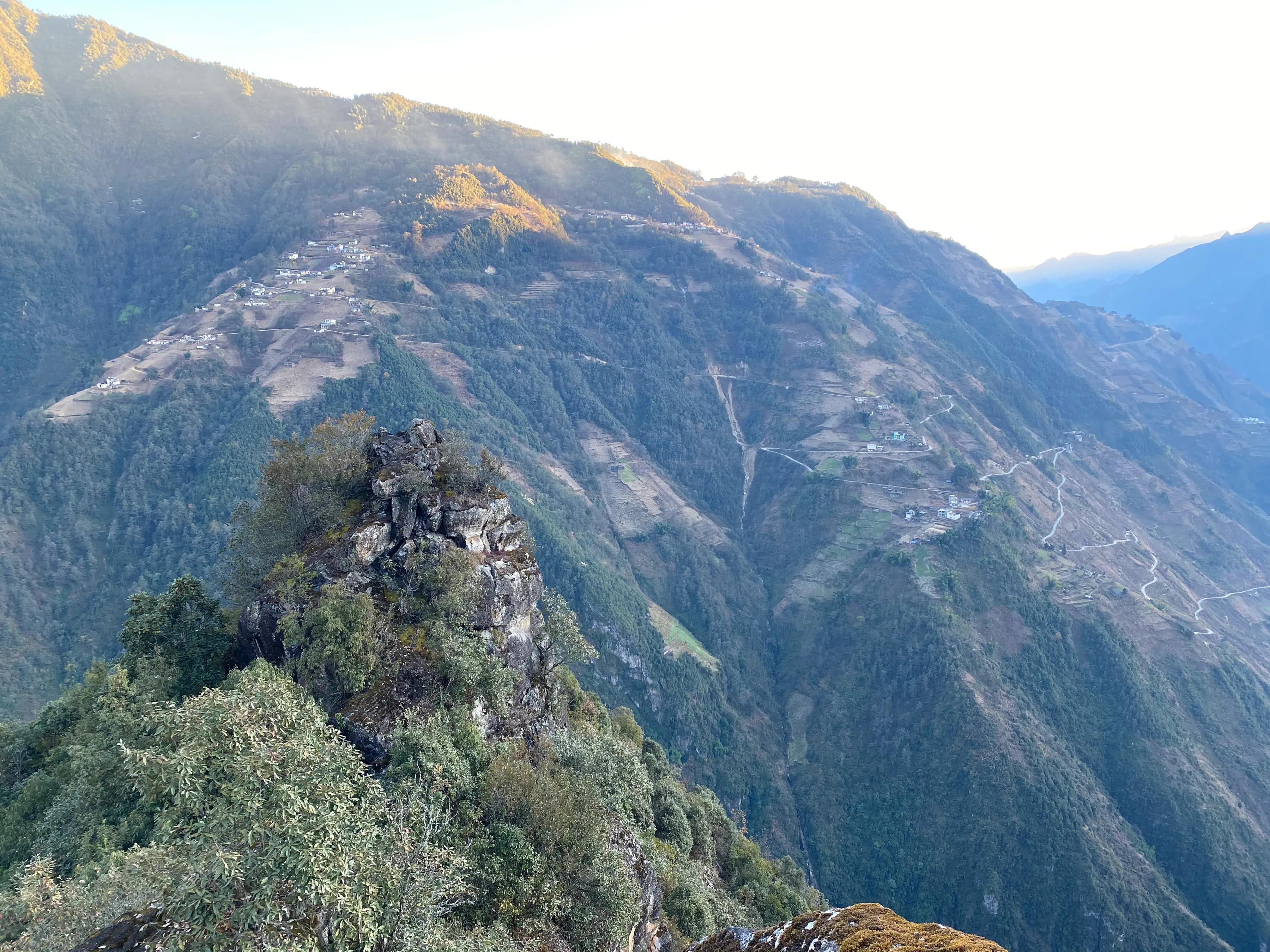 云南神秘水生物最新动态揭秘！??