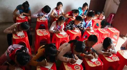 南昌蔬菜价格最新动态，市场变化与我们同行