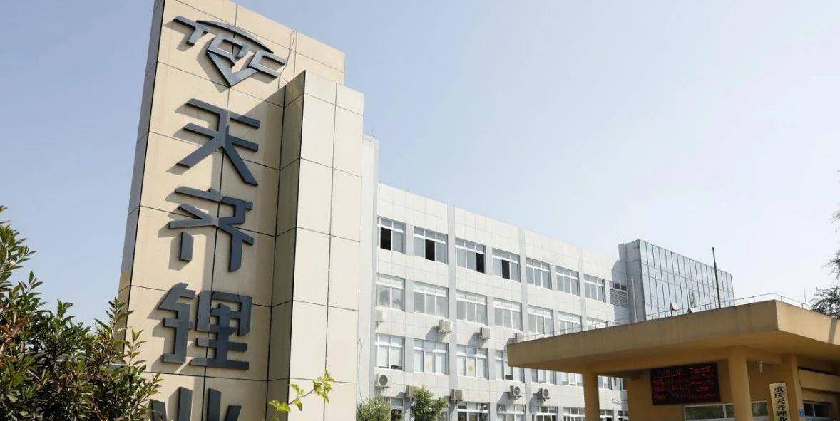 聚焦上市公司发展脉络,探寻行业地位与动态