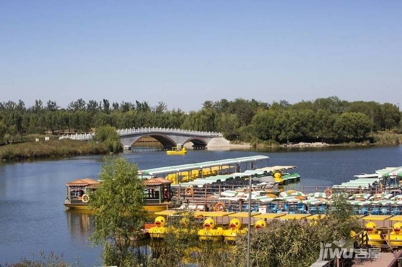 华远西红世最新动态深度解析与观点阐述