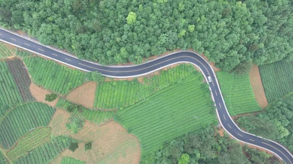 乐至交通最新规划揭秘,未来发展蓝图展望