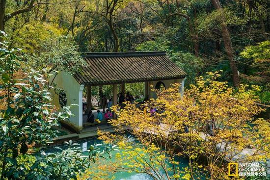 春水汇最新，共赴未来的学习之旅，涓涓细流汇聚成海的力量