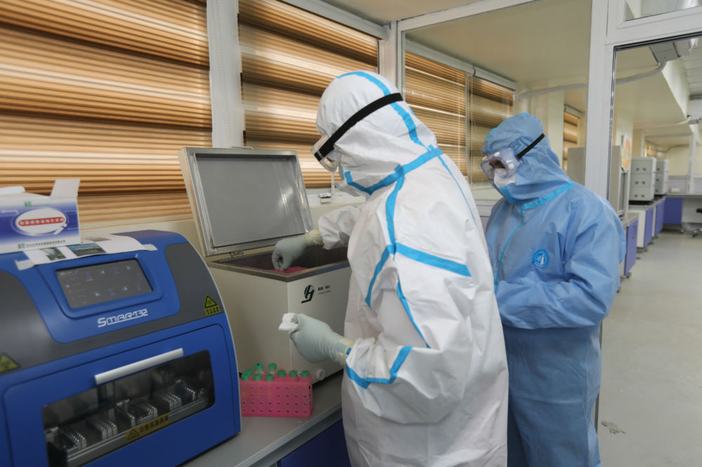 最新核酸检测视频教程，全面详解每一步操作流程