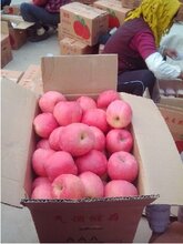 红富士价格背后的友情小故事，价格与友情的交织情感