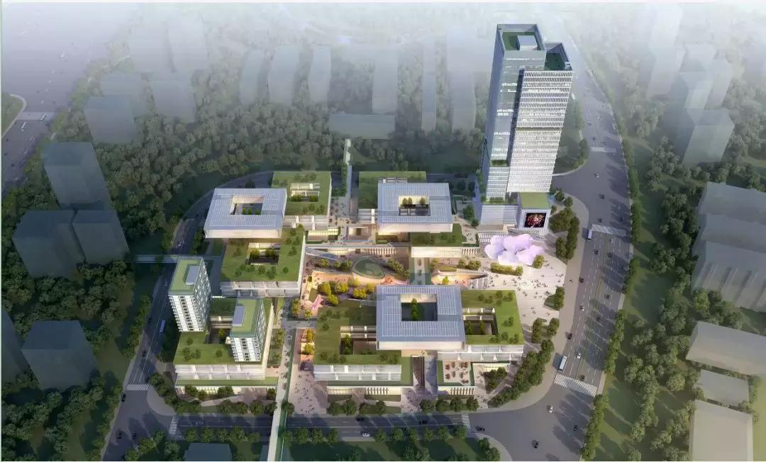 动漫牛——小巷深处的隐藏宝藏