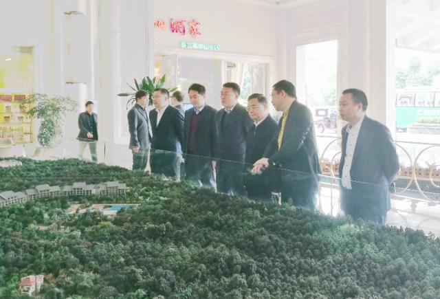 广州上市公司探析,繁荣与多元的视角下的企业全景扫描