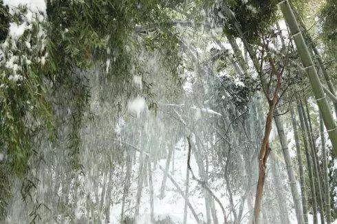 科技重塑传统艺术，最新瓷瓶绑扎教程视频，新时代体验下的瓷瓶绑扎技巧