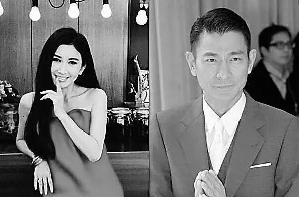 洗黑钱电影揭秘犯罪真相，揭露犯罪背后的黑暗内幕