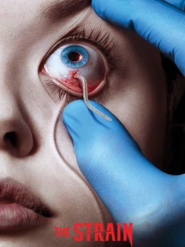 血族演员,探寻小巷中的宝藏与演绎魅力