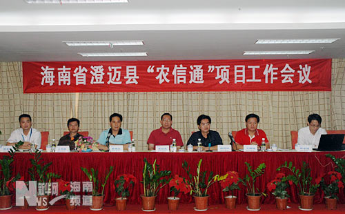 海南省澄迈县人事任免动态，科技引领变革，展现新风采