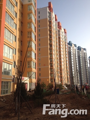 永登最新房价探秘,奇妙旅程启程