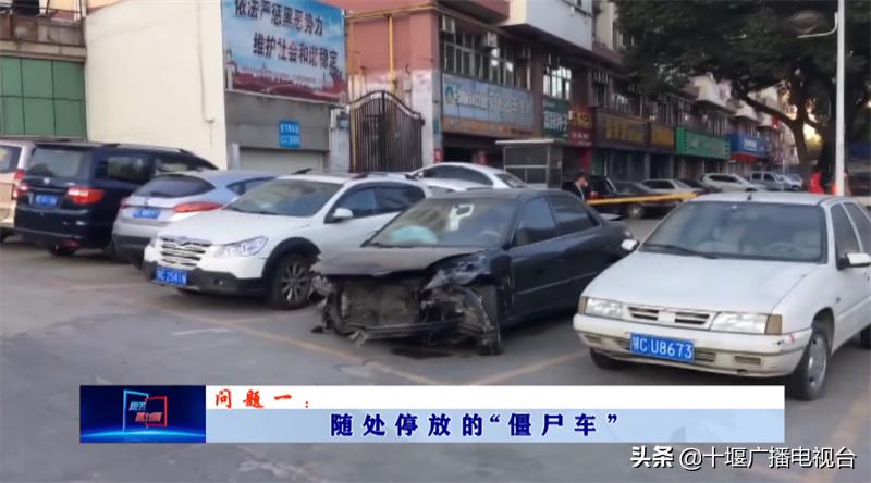台湾僵尸电影之旅，自然美景下的心灵探险与宁静寻找
