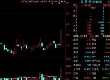 雪莱特股票，探索学习与变化的冒险之旅