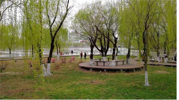 抚顺顺城区最新二手房信息全面揭秘!