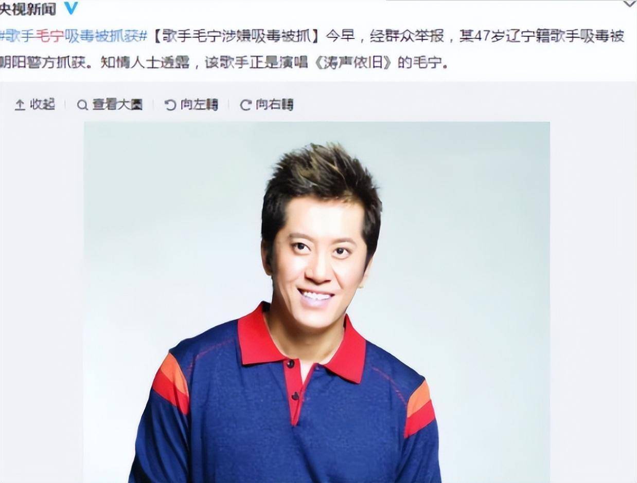 毛宁2017最新动态,时代的见证与声音的传递