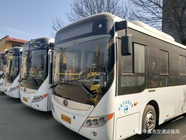 辛集最新司机信息概览，掌握最新司机动态，一览无余！